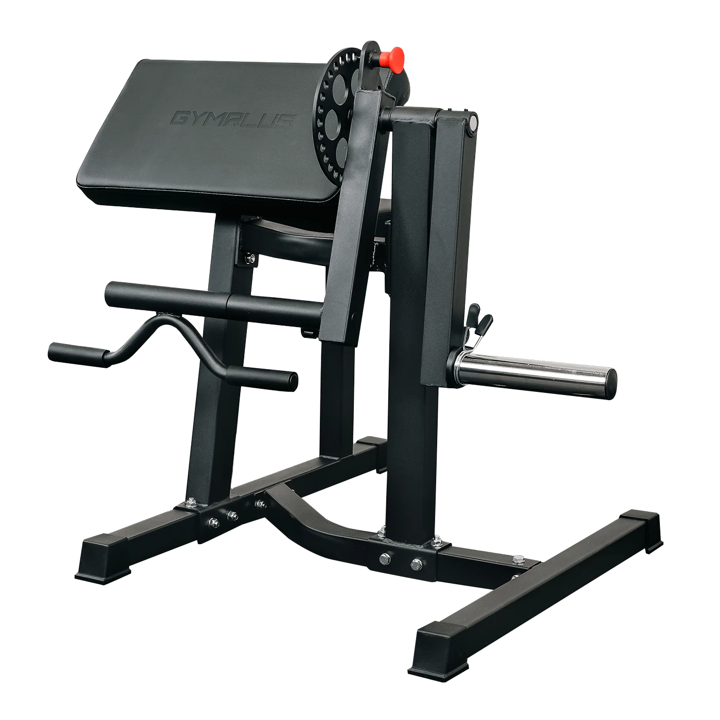 Preacher Arm Curl Biceps and Triceps
