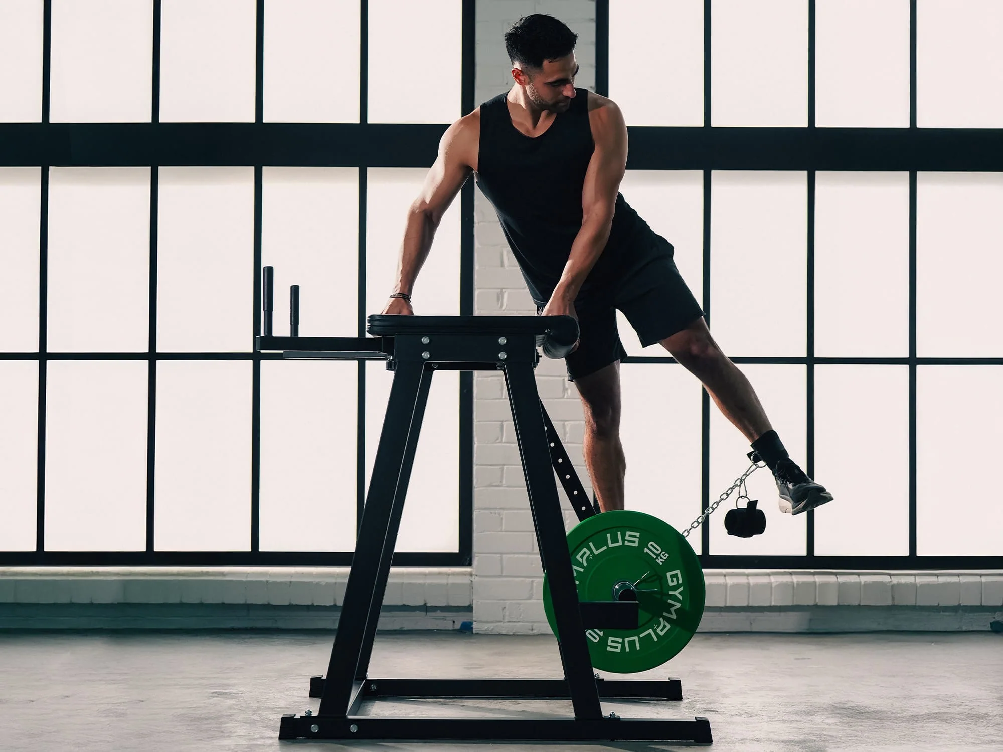 ATTIVO Reverse Hyperextension - Image 5