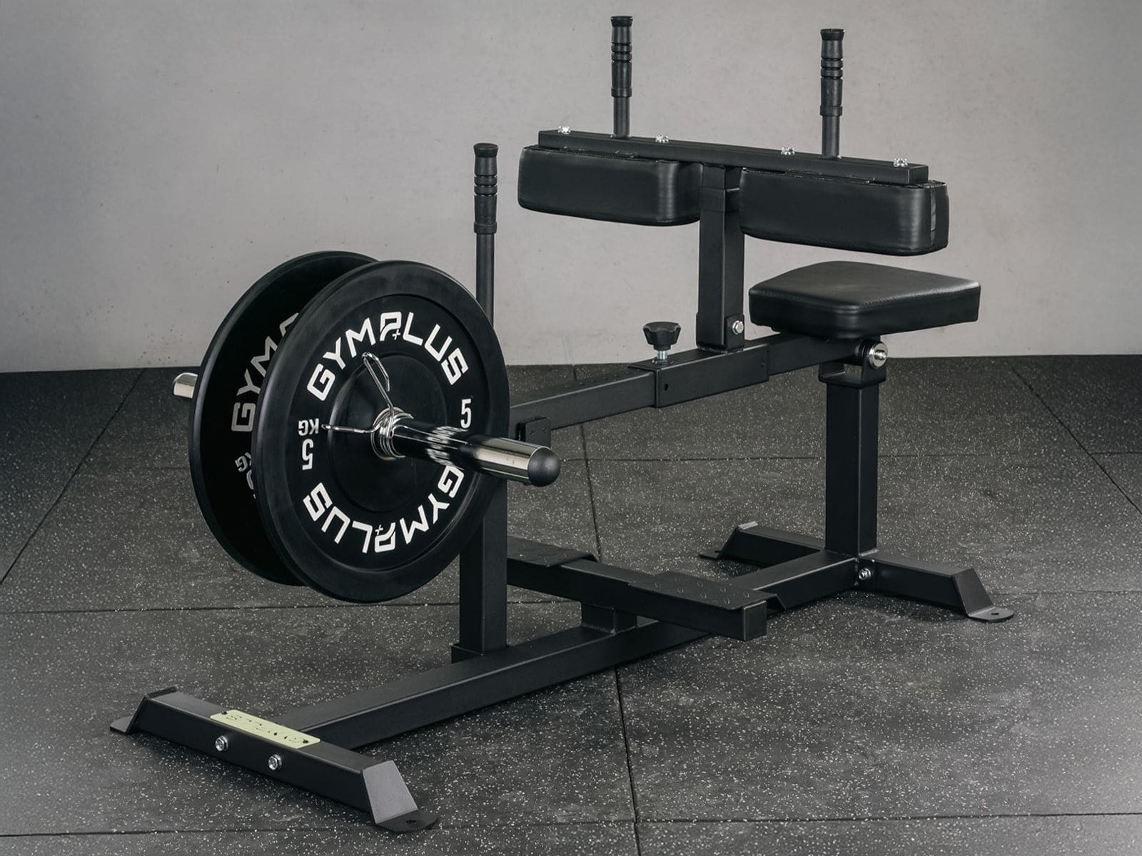 Seated Calf Raise - Image 7